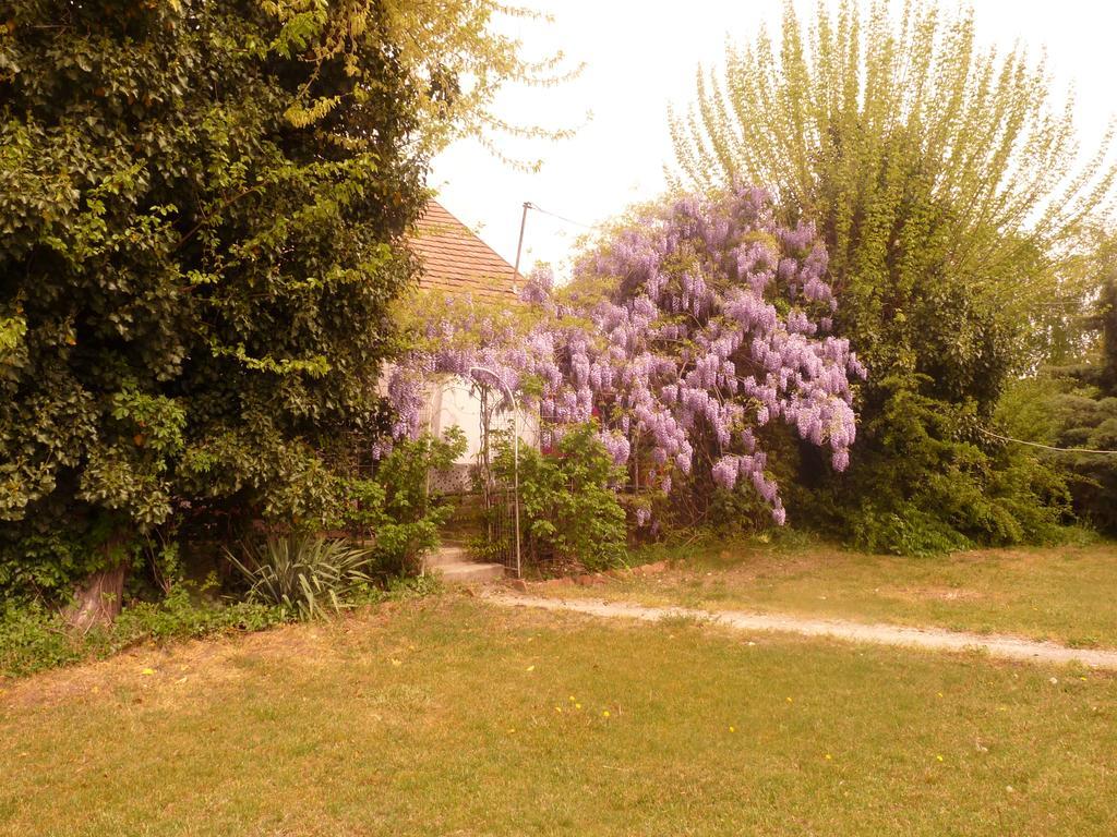 Vila Dobo Tanya Roszke Exteriér fotografie