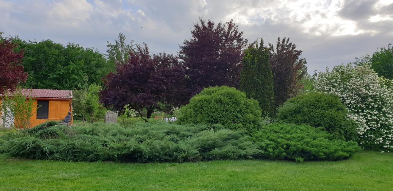 Vila Dobo Tanya Roszke Exteriér fotografie