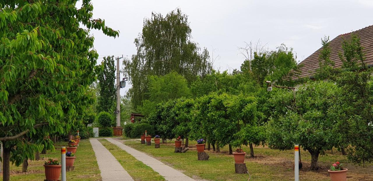 Vila Dobo Tanya Roszke Exteriér fotografie