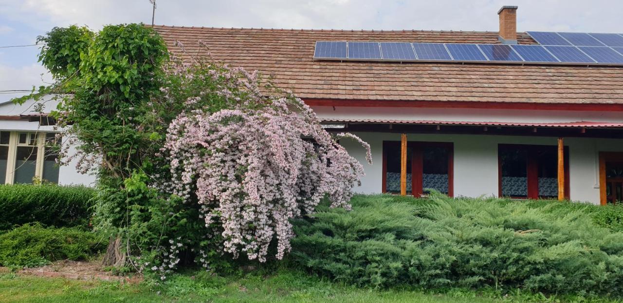 Vila Dobo Tanya Roszke Exteriér fotografie