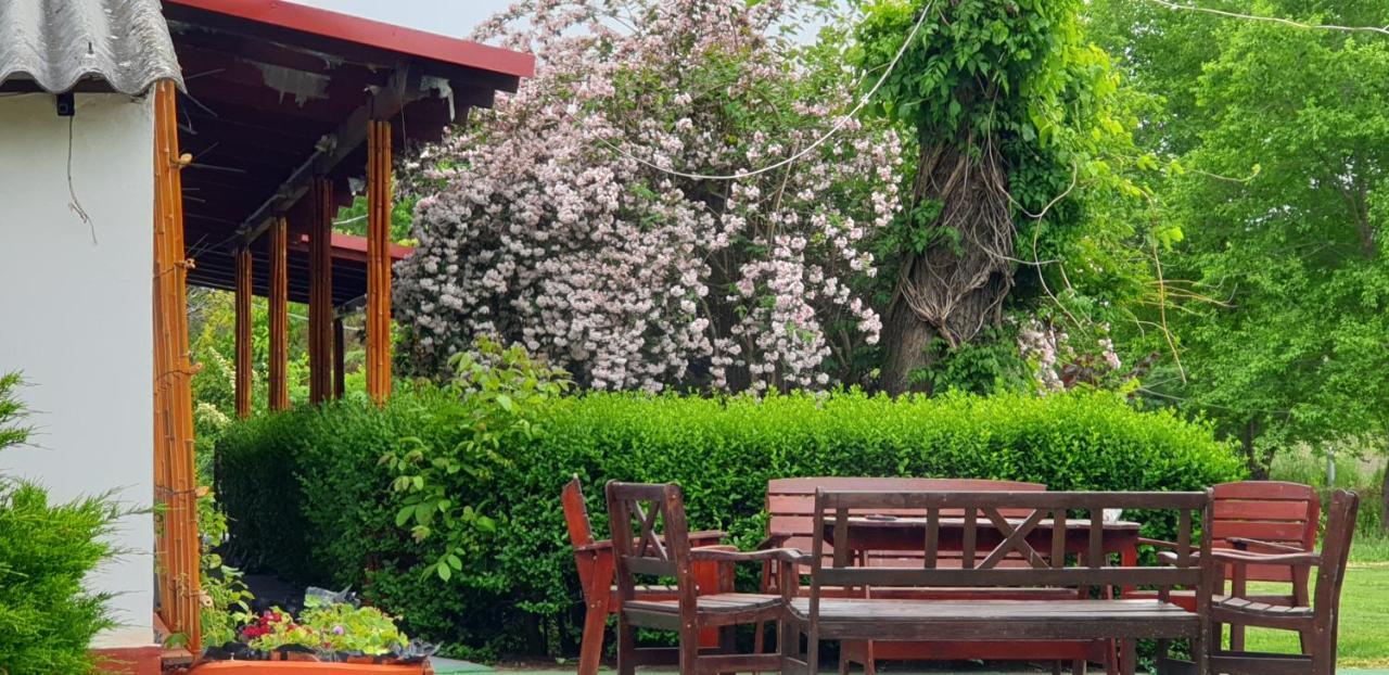Vila Dobo Tanya Roszke Exteriér fotografie